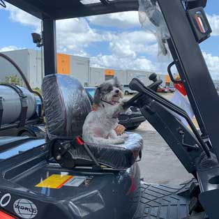 CoCo Plum Weltman, the dog seen driving a forklift